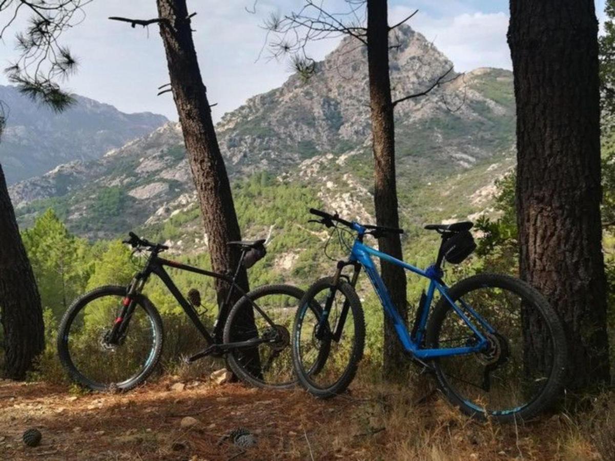 Villetta La Perla - 779492 San Teodoro  Εξωτερικό φωτογραφία